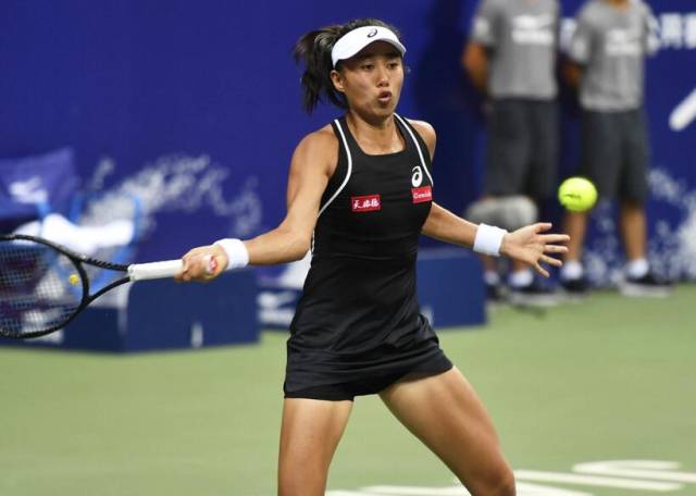 维京人回归 维京人回归