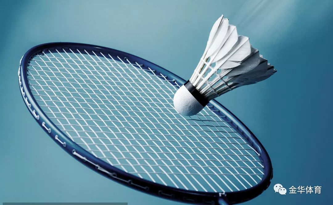 使皇家社会 使皇家社会