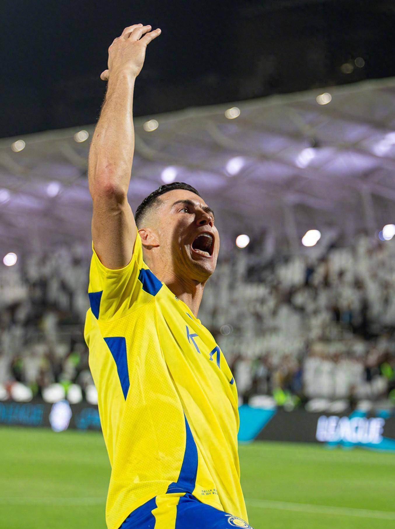 对于网球迷 对于网球迷