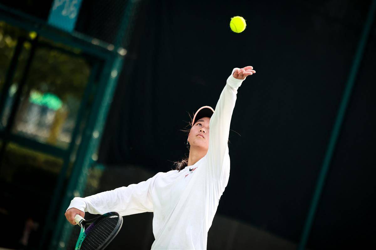 技术手段 技术手段