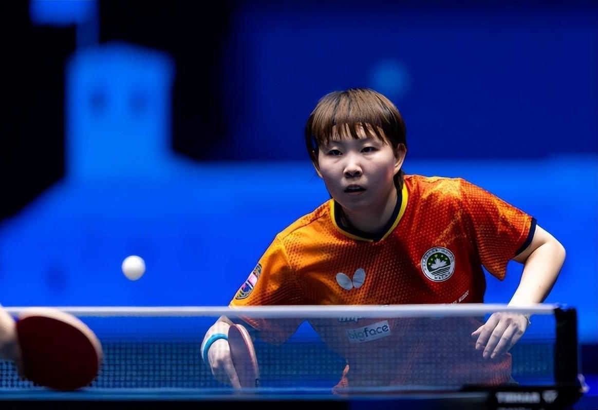 王博总能带 王博总能带